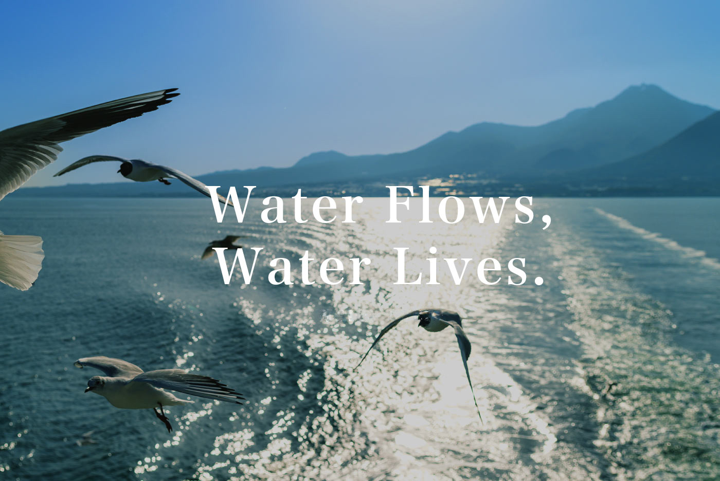 Water Flows, Water Lives. water cycle