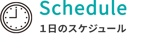 １日のスケジュール